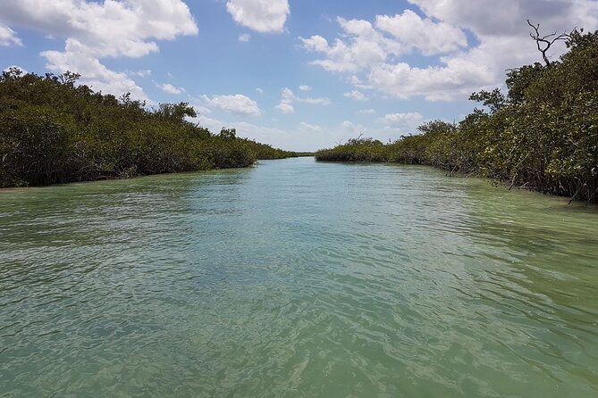 Magic Sian ka'an Deluxe two boats - Guide style and group pacing: what to watch for