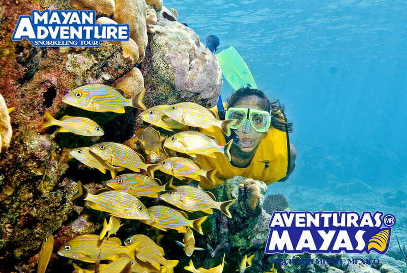 Mayan Adventure - 3 different snorkeling sites in one day! - A 3-site snorkeling day in Quintana Roo that actually feels organized