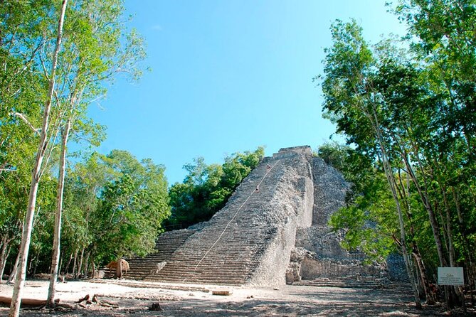 Mayan Adventure! Tulum Ruins, Coba, Cenote + from Tulum City - Stop 2: Coba ruins free time (no guide with you, strict bus timing)