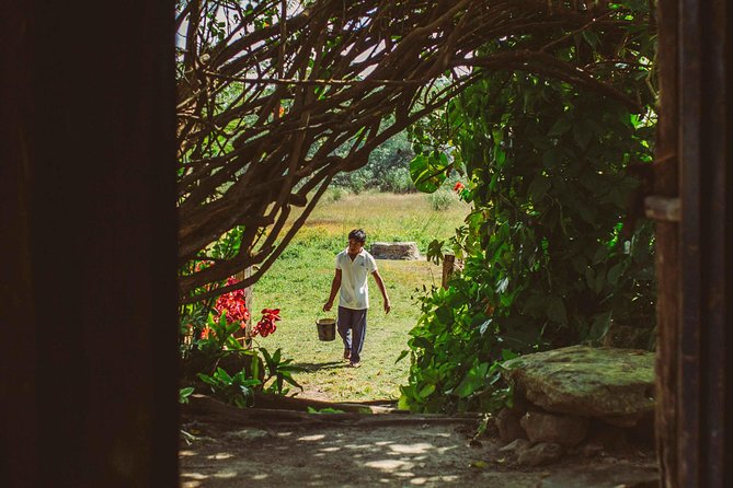 Mayan Backroads Private Bike Tour from Tulum - Cenote Esmeralda: a community cenote with a refreshing swim