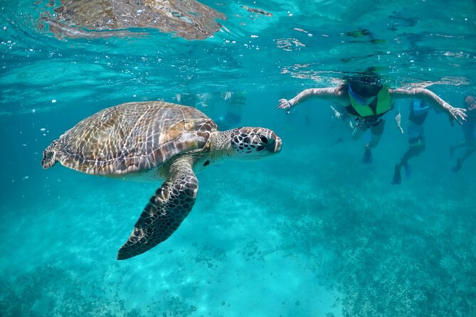 Mayan snorkeling (Akumal-Cenote-Caverna) - Key Things That Make This Tour a Solid Pick
