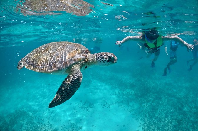 Mayan snorkeling (Akumal-Cenote-Caverna) - Price and the $15 Marine Tax: Getting the Math Right