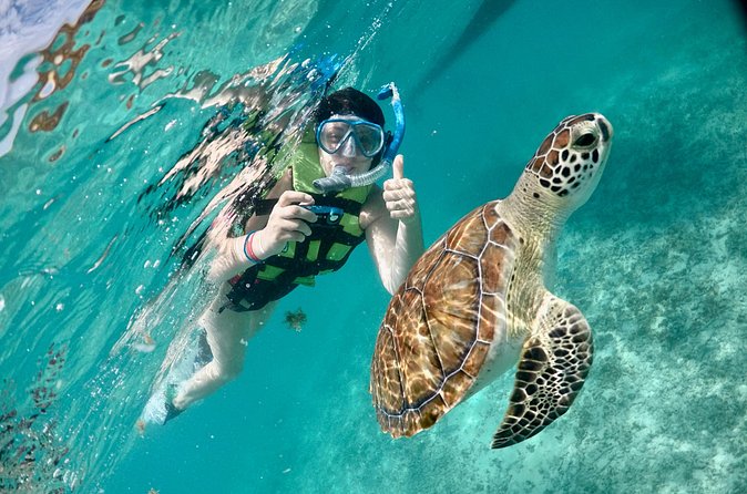 Mayan snorkeling (Akumal-Cenote-Caverna) - Guides, Safety, and the Human Factor