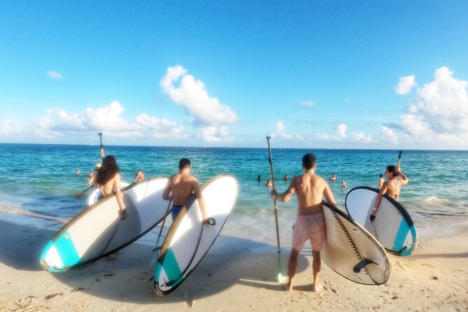 Morning Session - All Levels Paddleboard Group Caribbean Sea - Price and Value: What $50 Actually Buys You