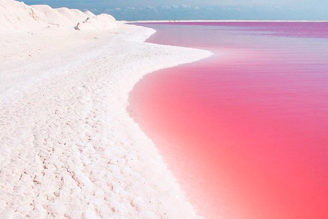 Natural Pink Lake Tour Las Coloradas only from Playa del Carmen - Entering the Yucatán’s wild side: Ría Lagartos in two hours