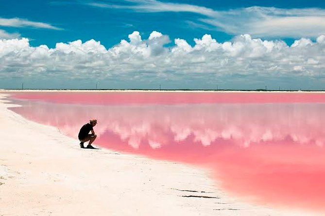 Natural Pink Lake Tour Las Coloradas only from Playa del Carmen - Final verdict: should you book Natural Pink Lake Tour Las Coloradas only from Playa del Carmen?
