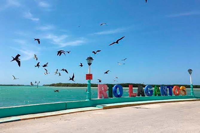 Natural Pink Lake Tour Las Coloradas only from Playa del Carmen - Food, water, and comfort on a day that runs long