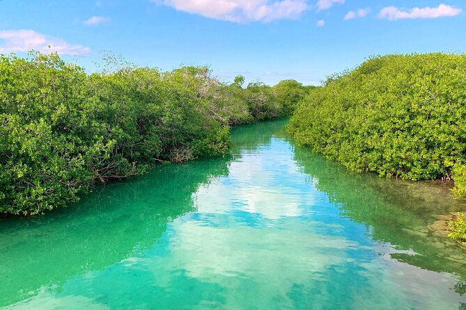 Nature Day, Sian Kaan Biosphere Tour! Round Transportation from Tulum City - Why This Sian Ka’an Day Feels Different Than a Quick Excursion
