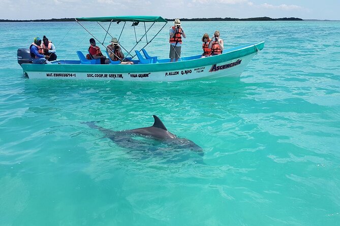Nature Day, Sian Kaan Biosphere Tour! Round Transportation from Tulum City - The Meal Break: Lunch Choices That Actually Help