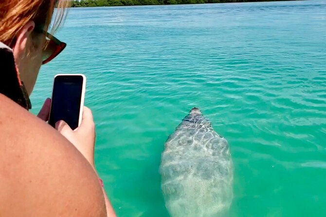 Nature Day, Sian Kaan Biosphere Tour! Round Transportation from Tulum City - Price and Value: What $201 Really Buys (and What It Costs You)