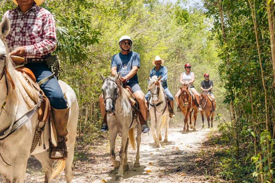 Nature Tour - Snack, Water, and Tequila Tasting: Fuel That Keeps the Tour Moving