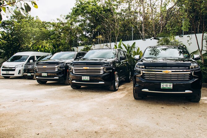 One Way Private Transfer Tulum Zone - Cancun Int Airport - Key Highlights to Know Before You Go