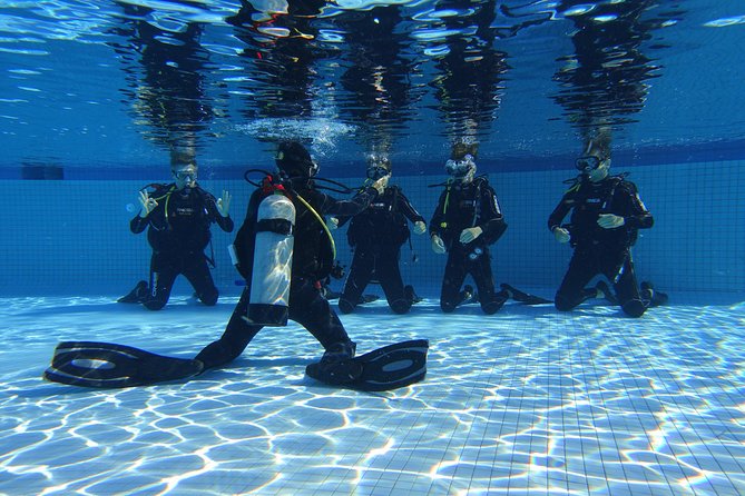 Open Water Diver 2-Day PADI Course in Playa del Carmen - Phase 1: Online Theory That Actually Preps You