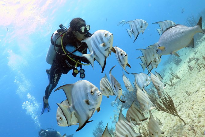 Open Water Diver 2-Day PADI Course in Playa del Carmen - When Conditions Change: Real-World Visibility and Currents