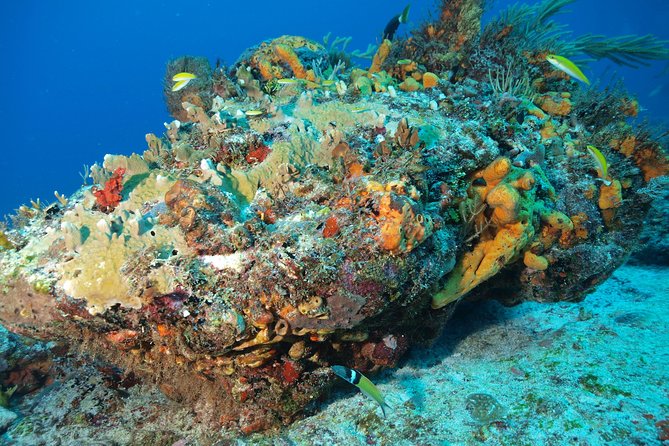 Open Water Diver course PADI including underwater video - Underwater Video: A Training Tool, Not Just a Souvenir
