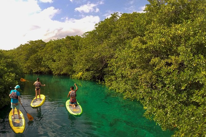 Paddleboard Cenote Tour - The 3–4 Hour Pace: What You’ll Do From Start to Finish