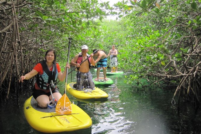 Paddleboard Cenote Tour - Snorkeling in Crystal-Clear Cenote Water: What You’re Really Seeing