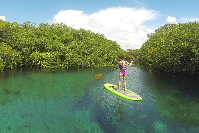 Paddleboard Cenote Tour - Value Check: What You’re Getting for Your Time