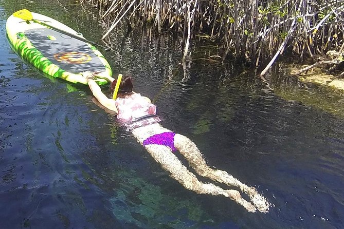 Paddleboard Cenote Tour - SUP for Beginners: How the Certified Guide Changes the Experience