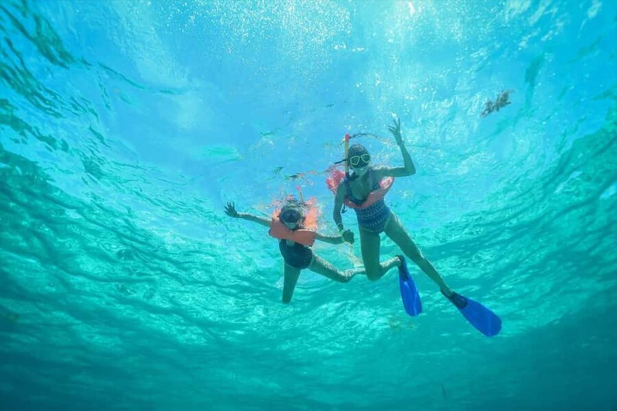 PDC: Isla Mujeres Catamaran Tour with Snorkeling - Seasickness Reality Check and Who This Tour Fits Best