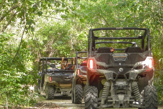 Playa del Carmen Buggy Tour with Cenote Swim and Mayan Village Visit - Why this Playa del Carmen buggy-and-cenote day feels different