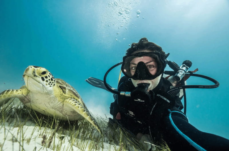 Playa del Carmen: Guided Reef Diving for Certified Divers - Getting Ready Under the Instructor’s Eye (Gear, Signals, and Confidence)
