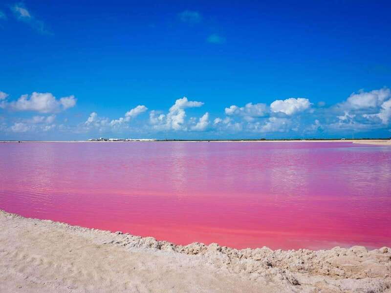 Playa del Carmen: Rio Lagartos and Las Coloradas Tour - Who should book this Playa del Carmen day trip