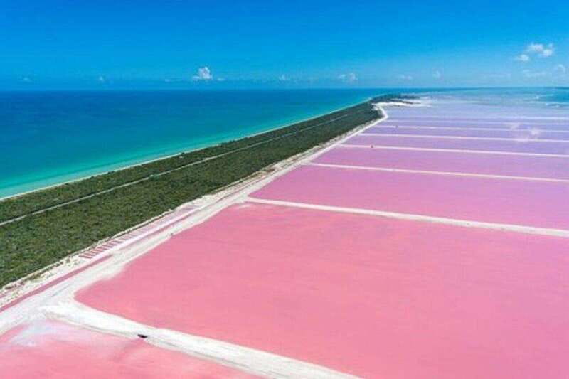 Playa del Carmen: Rio Lagartos and Las Coloradas Tour - Price and value: what $142 really covers