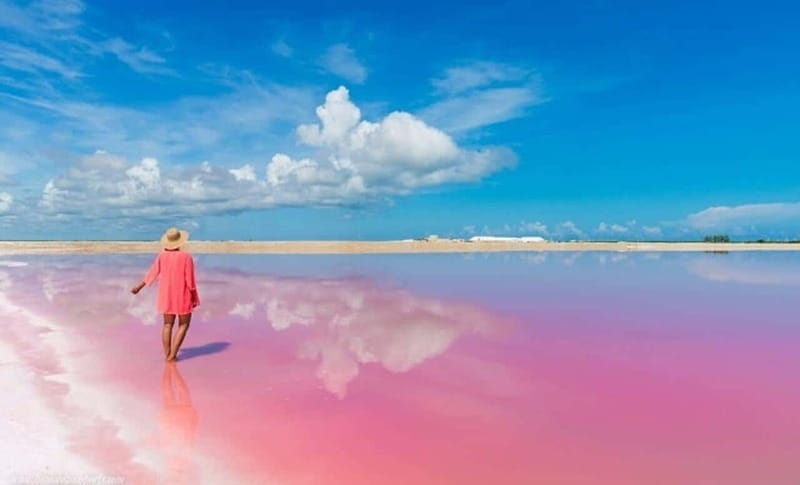 Playa del Carmen: Rio Lagartos and Las Coloradas Tour - Lunch and the salt-to-seafood connection