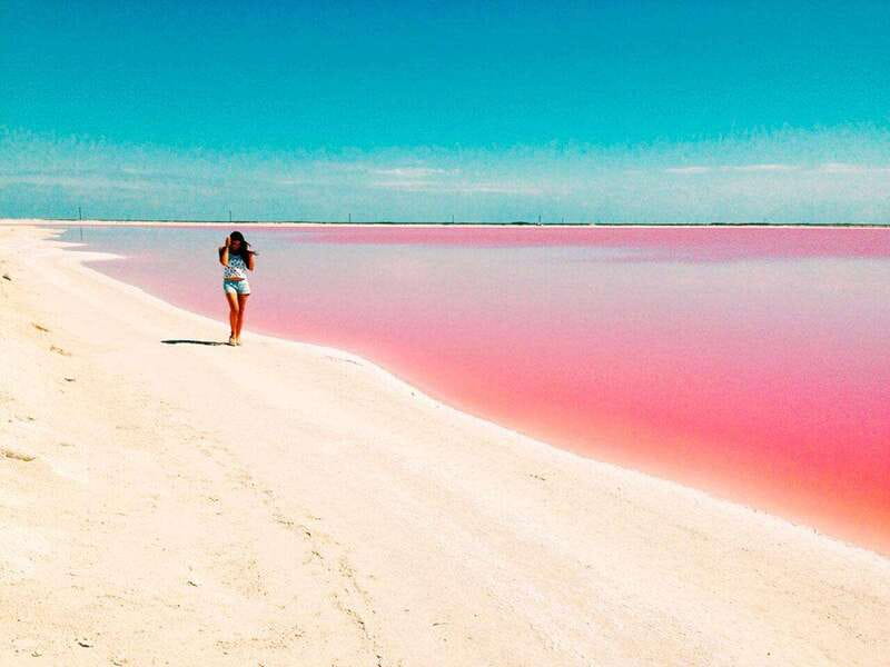 Playa del Carmen: Rio Lagartos and Las Coloradas Tour - Your guide, language, and how to get the most from it