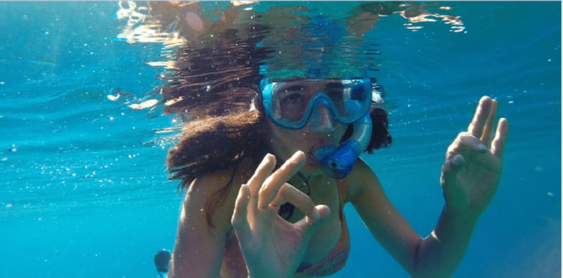Playa del Carmen: Snorkel Tour at Local Reef - Key highlights worth your attention