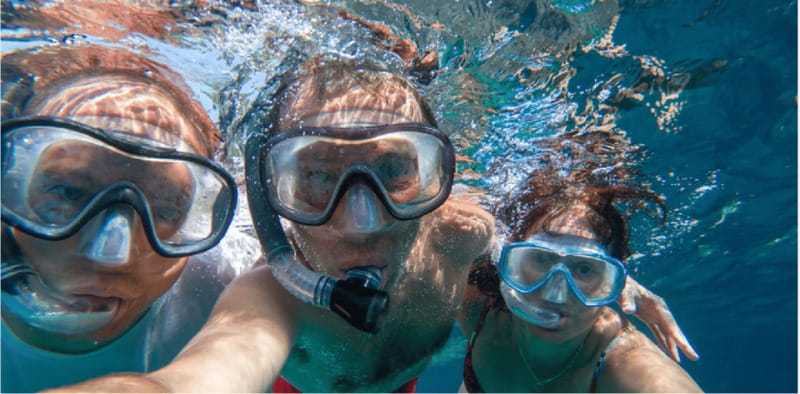 Playa del Carmen: Snorkel Tour at Local Reef - Where You Meet in Playa del Carmen (Calle 8 Norte & 25 Avenida Norte)
