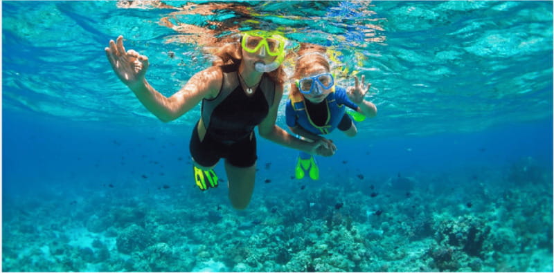 Playa del Carmen: Snorkel Tour at Local Reef - Price That Makes Sense—Plus the Marine Park Fee You Must Plan For