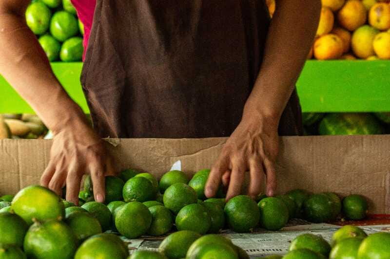 Playa del Carmen: Vegan Food Walking Tour - What you learn about vegan Mexican flavors