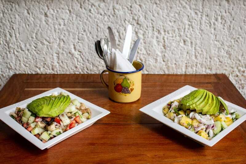 Playa del Carmen: Vegan Food Walking Tour - What to bring for a comfortable rain-or-shine walk