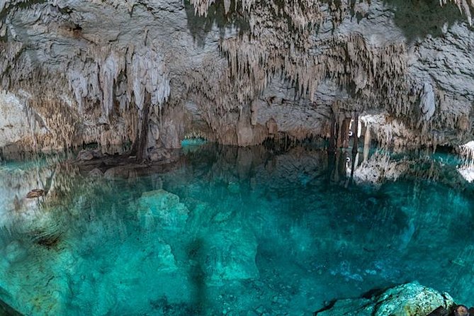 Private 2-Cenote Snorkeling Tour with Authentic Mayan Lunch - Playa del Carmen cenote snorkeling, done the practical way