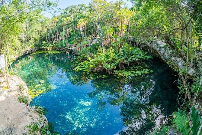 Private 2-Cenote Snorkeling Tour with Authentic Mayan Lunch - Who this tour fits best (and who should skip it)