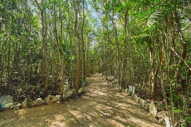 Private 4Cenote Experience, swim in the heart of the Mayan Jungle - Snorkeling gear is included: what you should pack for comfort