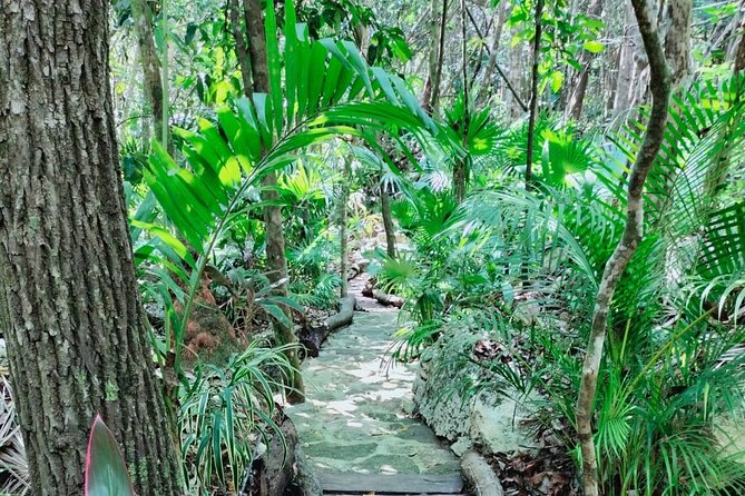 Private 4Cenote Experience, swim in the heart of the Mayan Jungle - A guide named George: friendly, photo-focused, and flexible