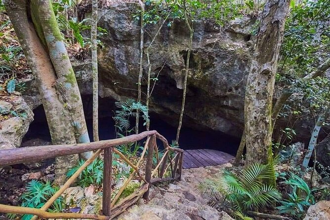 Private 4Cenote Experience, swim in the heart of the Mayan Jungle - Who this private 4-cenote tour fits best