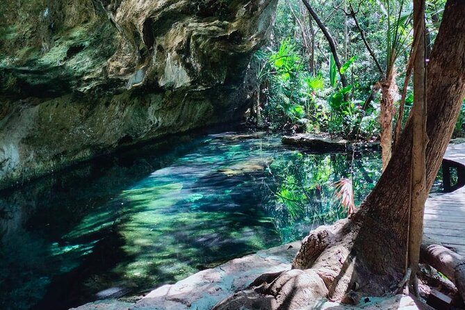 Private 4Cenote Experience, swim in the heart of the Mayan Jungle - Walking jungle trails and hitting four cenotes in 4.5 hours