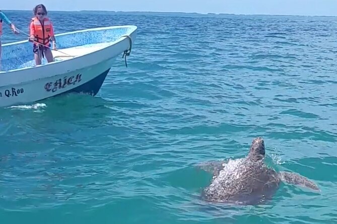 Private Akumal & Cenotes tour - Private Group Perks (Up to 15): Families, Couples, and Big Crew Energy