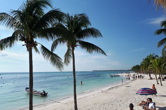 Private Akumal & Cenotes tour - Price and Logistics: Is $242 Per Person Worth It?