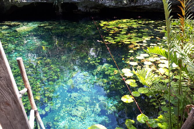 Private Akumal & Cenotes tour - Who Should Book This Akumal & Cenotes Private Tour