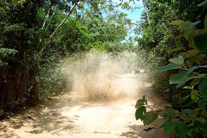 Private ATV Jungle Explorer Tour - Price check: does $119 feel fair for a private 2-hour adventure?
