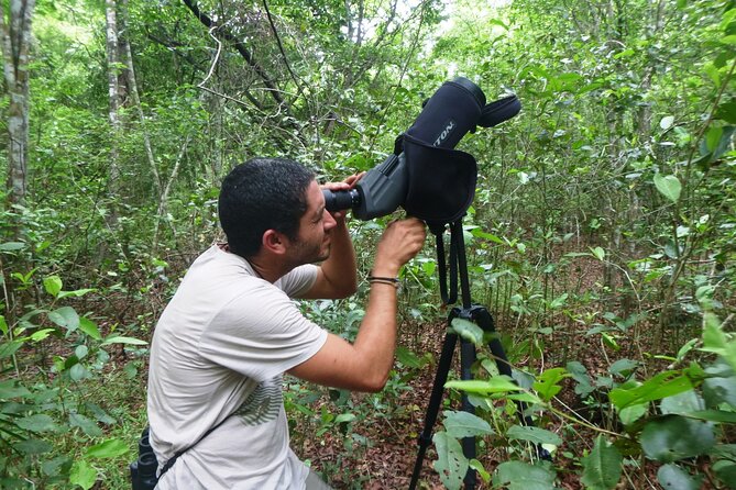 Private Birdwatching Tour in Sian Ka'an Muyil - Price, Inclusions, and Extras That Can Move the Total
