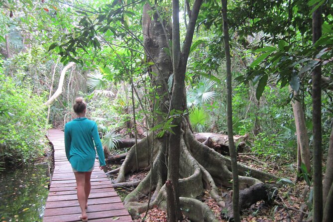 Private Birdwatching Tour in Sian Ka'an Muyil - Who This Private Tour Is Perfect For