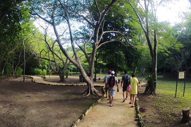 Private Birdwatching Tour in Sian Ka'an Muyil - Morning Walk Through Muyil Village: Birding Meets Everyday Maya Life