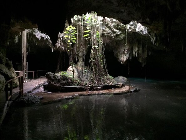 Private Cenote & Cave – Playa del Carmen, Mayan Culture & Fossils - Key things to know before you go