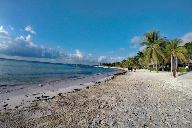 Private Cenote & Snorkeling Tour with Turtles in Akumal - A Private Cenote and Turtle Snorkel in Akumal, Without the Rental Car Headache